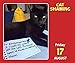 Cat Shaming 2018 Day-to-Day Calendar