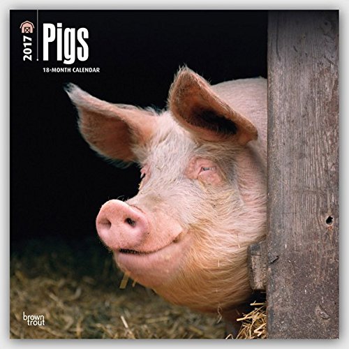 Pigs 2017 Square (Multilingual Edition)