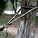 MATENIX KAMOTA Hammock Tree Straps, Hammock Tree Straps Set Versatile 2200+ LBS Heavy Duty 40 Loops & 100% No Stretch Suspension System - Camping Hammock Accessories
