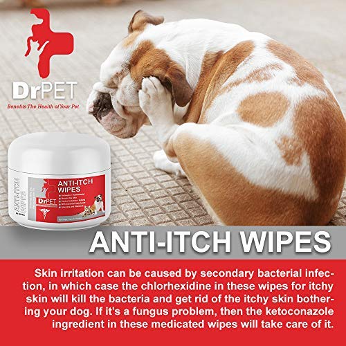 Dr Pet Chlorhexidine Wipes with Ketoconazole for Cats & Dogs, 50 Count