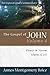 The Gospel of John: Peace in Storm (John 13-17) (Expositional Commentary)