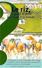 Le  riz, ce grain si petit qui nourrit le monde