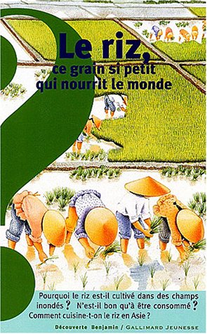 Le  riz, ce grain si petit qui nourrit le monde