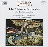 JOB (A MASQUE FOR DANCING)                         image