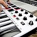 Akai Professional MPK Mini MKII White | 25-Key Ultra-Portable USB MIDI Drum Pad & Keyboard Controller with Joystick, VIP Software Download Included - Limited Edition