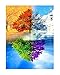 TSING DIY Crystals Paint Kit 5D Diamond Painting by Number Kits,Four Season Trees-16''W19''L