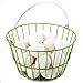 Ware Manufacturing Chicken Egg Basket