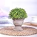 HC STAR Artificial Plant Potted Mini Fake Plant Decorative Lifelike Flower Green Plants - 1301