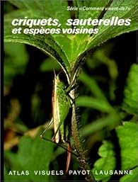 Book's Cover of Criquets, sauterelles et espèces voisines