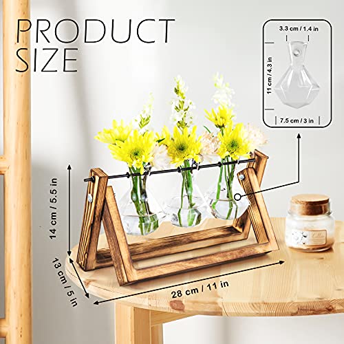 Waytoeast Propagation Stations Desktop Air Plant Terrarium - Glass Planter 3 Diamond Glass Vase with Swing Wooden Stand for Hydroponics Plants Home Garden Office Decor