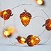 Impress Life Fall Winter Fairy String Lights, Ice Age Acorn Theme 10 ft 40 LEDs, with Remote Battery-Powered & Timer, Novelty DIY Decorating for Novelty Holiday, Wedding, Harvest, Parties Decorative