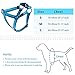 PETBABA No Pull Dog Harness, Front Clip Give Pet Choke Free Walking, Reflective Safety at Night, Step-in Vest with Martingale Handle Suitable Controlling in Heavy Traffic in Blue