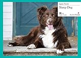 Active Minds 13 Piece Sheep Dog Jigsaw Puzzle | Specialist Alzheimer's/Dementia Activities & Games