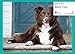 Jigsaw puzzles designed for people with dementia - Sheep Dog