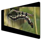 Mouse Pad Rectangle Mouse Pad Arcte Coerula Larva