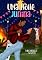 Livro Uma Noite Junina