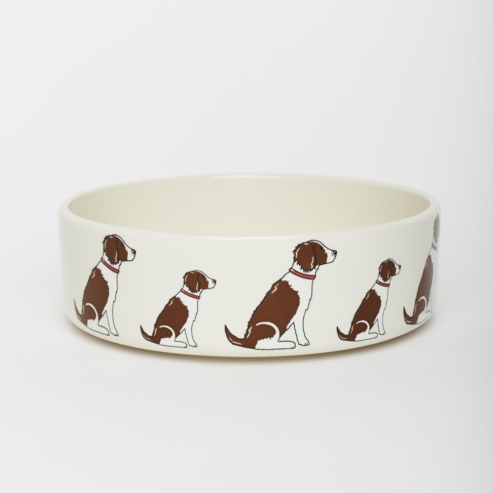Springer Spaniel dog bowl BigaMart