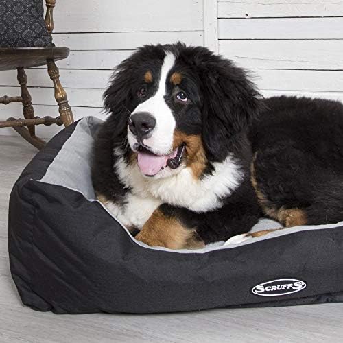 Scruffs Expedition Box Bed (L) Graphite - Image 5