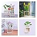 Ivolador Plant Propagation Station Terrariumin Wall Test Tube Vases Bud Tabletop Glass Wooden Stand with 5 Propagation Tubes for Propagating Hydroponic Plants Home Garden Wedding Decoration-Beige