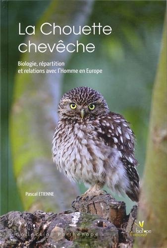 La  chouette chevêche