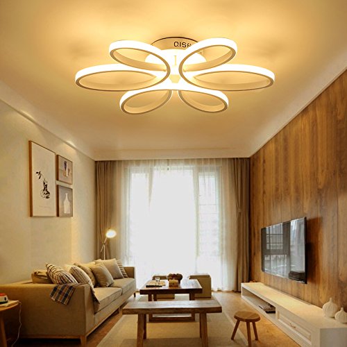 Houdes Modern Led Chandelier Lighting Ceiling Light Fixture