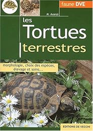 Les  tortues terrestres