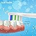 Replacement Brush Heads Compatible with Phillips Sonicare DiamondClean, Biykog Dust-free Hygiene Electric Toothbrush Head Pack 6 Independent Packaging