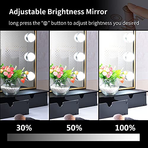 Large Vanity Mirror with Lights, Large Hollywood Makeup Vanity Mirror