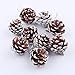 9pcs Christmas Pine Cones, Misaky Bauble Xmas Tree Party Hanging Decoration Ornament