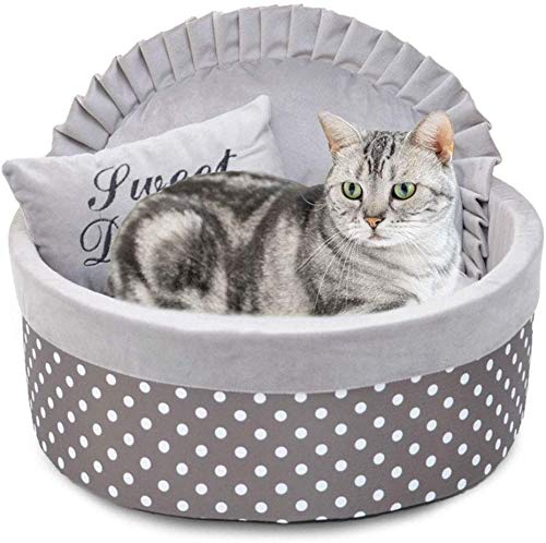 Kattbädd med sköna kuddar.