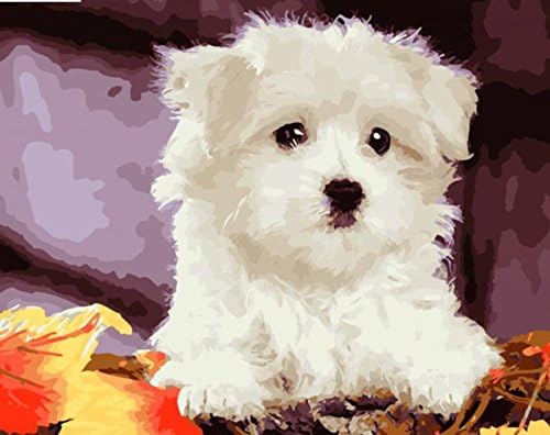 HOS Diy Oil Painting Paint By Number Hand Paintworks White Puppy 16X20 Inches (5)