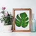 KUUQA 24 Pcs Artificial Tropical Leaves Hawaiian Luau Party Decor Medium Simulation Tropical Monstera Plant Leaves for Safari Jungle Beach Theme Birthday Party Decorations Supplies