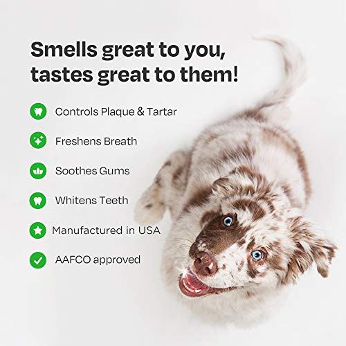 Natural Dog Toothpaste Enzymatic with Probiotics Toothpaste for Dogs