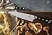 Zelite Infinity Japanese Paring Knife 2.75 Inch, Paring Knives, Pairing Knife Kitchen, Fruit Knife, Small Knife - Japanese AUS-8 High Carbon Stainless Steel - Pakkawood Handle - Leather Sheath
