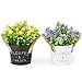 Pherypot Artificial Mini Plastic Fake Plant Flowers Potted in Black and White Metal Pot for Home Decor - Set of 2 ( Purple & Yellow with Green Grass )