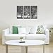 Visual Art Decor 3 Piece Black and White Winter Tree Scenery Canvas Wall Art Giclee Prints Framed and Stretched Painting Modern Home Living Room Office Wall Decoration