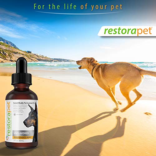 RestoraPet Unflavored Organic Pet Supplement for Dogs, Cats & Horses | Healthy & Safe Antioxidant Liquid Drops | Anti-Inflammatory Multi-Vitamin | Increases Mobility, Energy & Reduces Joint Pain - Thumbnail 5