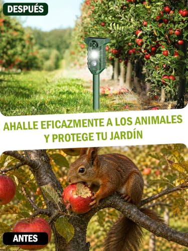 Espantapajaros Exterior Ahuyentador de Pajaros : Repelente Gatos Solar Ultrasonidos con Luz LED Flash IP65 Impermeable- Auyentadores de Palomas Potente para Jardín de Patio Césped Amplio Alcance Verde