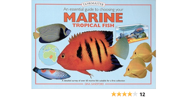 marine fish stockists near me