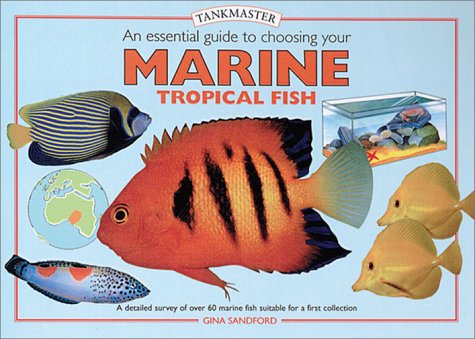 marine fish stockists near me