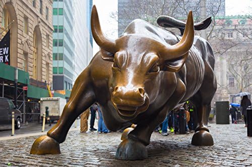 Bulls Monuments Charging Bull New York City Horns (P-001525) - Poster Art Print on Canvas (30x20inch)