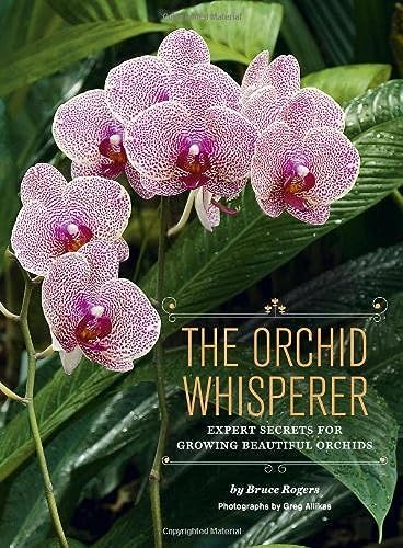 Orchids: The Pictorial Encyclopedia Of Oncidium: Marck Chase