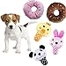 HTKJ Squeaky Dog Toys for Small Medium Dogs, Variety Pack of 5 Puppy Dog Toys