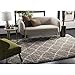 SAFAVIEH Hudson Shag Collection Area Rug - 6' x 9', Grey & Ivory, Moroccan Trellis Design, Non-Shedding & Easy Care, 2-inch Thick Ideal for High Traffic Areas in Living Room, Bedroom (SGH282B)