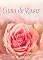 Livro Cama de Rosas