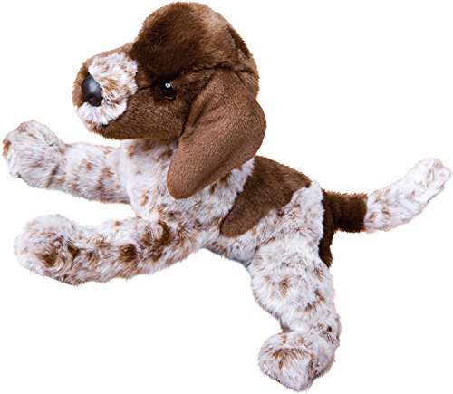 Douglas Wolfgang Pointer