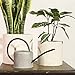 Layboo Retro Style Gorgeous Long Spout/Iron Watering Can Gardening Tool 1.7 L (Old zinc Color)