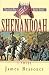 Shenandoah (The Civl War Battle Series, Book 8) by James Reasoner