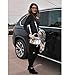 OWL Cateye Sunglasses for Women Classic Vintage High Pointed Winged Retro Design