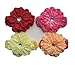 GUAngqi 12pcs Baby Girl Peony Headband Hairband Hairbow Hair Clip Headwear for Gift